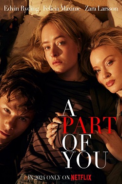 A Part of You (2024) Full Movie Dual Audio [Hindi-English] WEBRip MSubs 1080p 720p 480p Download